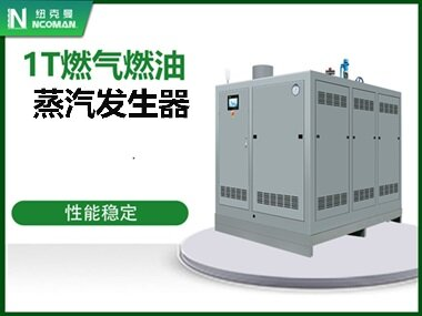 1T燃氣燃油蒸汽發生器